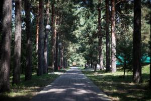 a brick path in a park with trees at Alpen Ville in Almaty