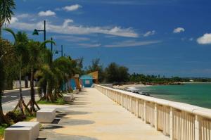 a walkway along a beach with palm trees and the ocean at MEDUSA'S HOSTEL in Aguadilla
