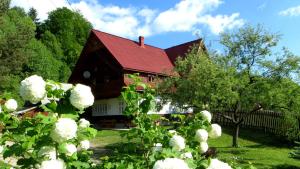 Afbeelding uit fotogalerij van Pensiunea Poiana de Vis in Suceviţa