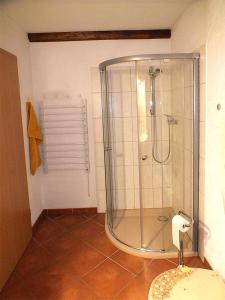 バート・シャンダウにあるFerienwohnungen Schrotのバスルーム(ガラス張りのシャワー付)