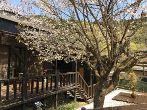Zahrada ubytování B&B Izumi Nikko