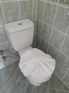 Koupelna v ubytování Hotel NilSu