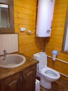 ジュラトクリにあるZyuratkul - Dom Tayozhnikaのバスルーム(トイレ、洗面台付)