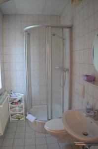 La salle de bains est pourvue d'une douche, de toilettes et d'un lavabo. dans l'établissement Pension & Ferienwohnung "Villa Agnesruh", à Bad Elster
