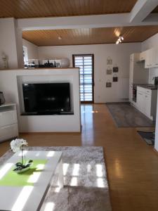 a living room with a large flat screen tv at Apartment Ferienwohnung Emmerthal auch für Monteure FeWo in Emmerthal