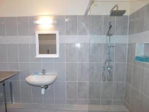 uma casa de banho com um lavatório e um chuveiro em Charmant petit T2 dans maison em Vieux Bourg