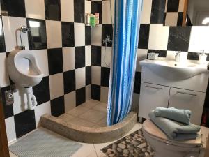 a bathroom with a urinal and a toilet and a sink at Apartman Star in Bol