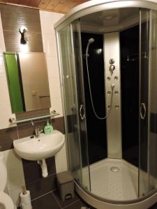 Kopalnica v nastanitvi Apartmány Na Lontě