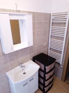 Ванная комната в Apartman Miljkovic