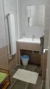 a bathroom with a sink and a mirror at Palota Apartman in Gödöllő