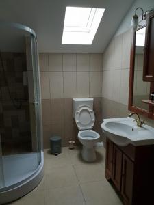 a bathroom with a toilet and a shower and a sink at Casa Dorgo in Lipova