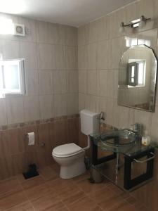 a bathroom with a toilet and a glass sink at Dalmatinska kuća Terace in Skradin +35 photos