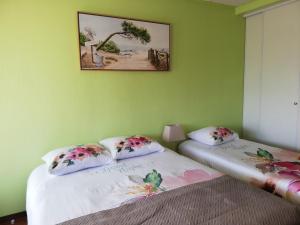 two twin beds in a room with green walls at Studios étape du Lac in Bourbon-Lancy