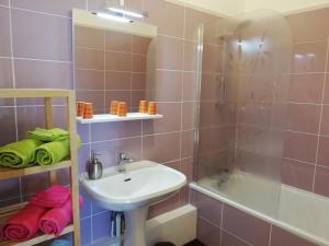 a bathroom with a sink and a shower at Studios étape du Lac in Bourbon-Lancy