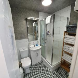 a bathroom with a toilet and a shower and a sink at Family apartments in Dublin