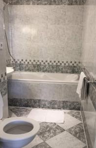 łazienka z toaletą i wanną w obiekcie Apartmán Elizabeth w mieście Cheb