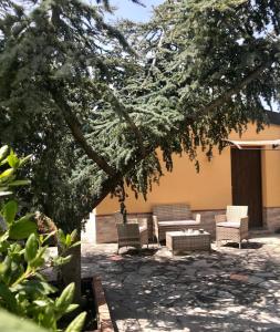 a patio with chairs and a table under a tree at Dependance in villa, Etna, natura, relax in Nicolosi