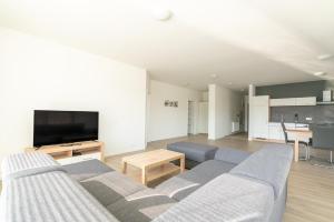 ein Wohnzimmer mit 2 Sofas und einem Flachbild-TV in der Unterkunft Apartmány Noviny in Trenčín