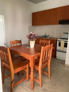 A kitchen or kitchenette at Anastasios Olive Garden Apartments