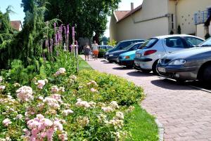 Zahrada ubytování Ametiszt Hotel Harkány