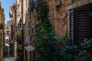 an alley with a plant on the side of a building at Guest House Blue Wave in Dubrovnik