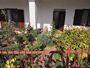 Foto dalla galleria di Apartment Elena a Piran