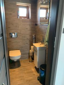 ブワディスワボボにあるPokoje u Maksiのトイレと洗面台のある小さなバスルーム