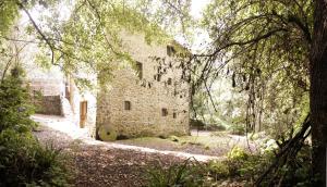 um velho edifício de pedra no meio de uma floresta em Agriturismo Molino del Ponte em Arcidosso
