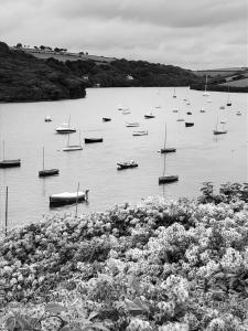 a bunch of boats sitting in the water at The Downs, Thurlestone, South Devon, close to several beaches in Kingsbridge