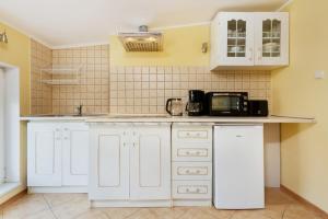 Kuchnia lub aneks kuchenny w obiekcie Apartments Gdynia Bema by Renters
