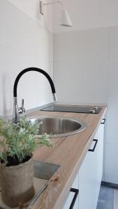 a kitchen sink with a potted plant on a counter at Apartman LUCIJA in Korčula +53 photos