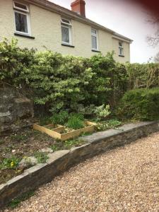 a garden in front of a house at Heddfan in Carmarthen