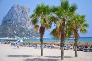 two palm trees on a beach with a mountain in the background at Hotel Maravillas del Mundo in Calpe