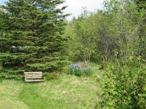un banco de madera sentado en medio de un campo en Úlfarsfellsvegur 20, 113 Rvk Birkihlid en Reikiavik