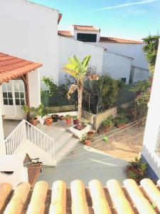 a view of a house with a courtyard with a palm tree at Apartamento Miradouro in Carrapateira