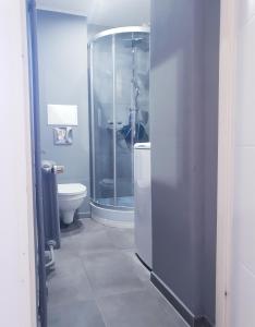 ein Bad mit einer Dusche und einem WC in der Unterkunft Apartament Wałbrzych in Wałbrzych