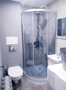 La salle de bains est pourvue d'une douche, de toilettes et d'un lavabo. dans l'établissement Apartament Wałbrzych, à Wałbrzych