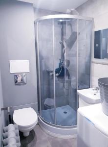 a bathroom with a shower with a toilet and a sink at Apartament Wałbrzych in Wałbrzych