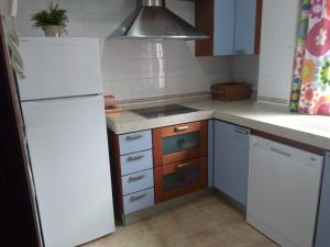 a kitchen with a white refrigerator and a stove at Cádiz Apartamento Mentidero Plaza in Cádiz