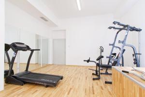 Fitness centrum a/nebo fitness zařízení v ubytování Hotel Palace