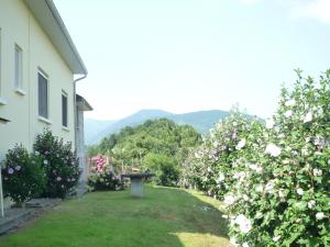a bird bath in a yard next to a house at Gite au pied de la montagne avec tous commerces in Arette