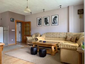 a living room with couches and a coffee table at Apartmani Alo Alo (kod Mikija) in Plav