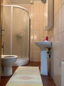 a bathroom with a shower and a sink and a toilet at Apartmani Alo Alo (kod Mikija) in Plav +45 photos