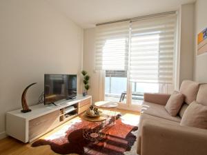 ein Wohnzimmer mit einem Sofa und einem TV in der Unterkunft Buenos Aires Beach & Downton by DLA in San Sebastián