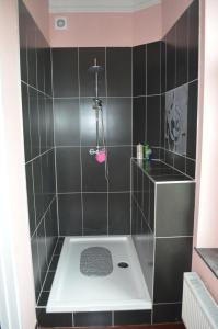baño con ducha de azulejos negros en B&B Chatelet Cremers, en Verviers