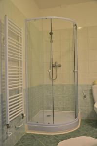 eine Dusche mit einer Glastür in einem Badezimmer in der Unterkunft Penzion Aura in Dvůr Králové nad Labem