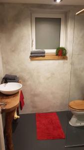 Koupelna v ubytování Apartma Romana