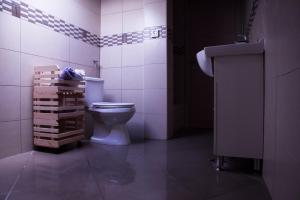 a bathroom with a toilet and a sink in a room at Apartments Svijet Mora in Povljana