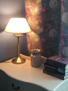 a table with a lamp and a stack of books at Philisa Na Turbaze in Pushkinskiye Gory