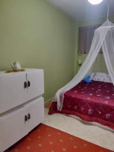 1 dormitorio con cama con dosel y cómoda en Private Apartment Elbasan Historic Center, en Elbasan